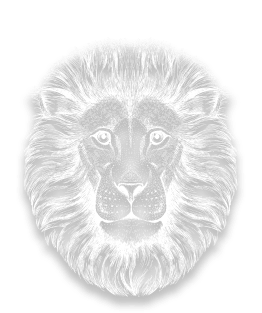 Le caractère du signe astrologique lion