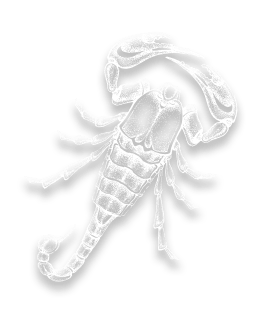 Le caractère du signe astrologique scorpion